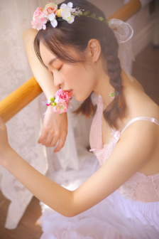 兽兽门种子